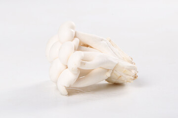 Fresh White Edible Mushrooms from Yunnan - High Quality Gourmet Fungi for Cooking © NguyenVan