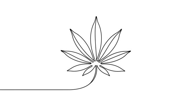 Minimalist continuous line drawing of a cannabis leaf isolated on white background.