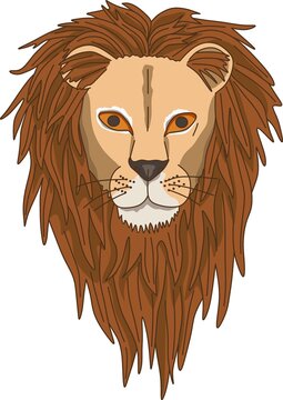 vector graphic as jpg of a lions head