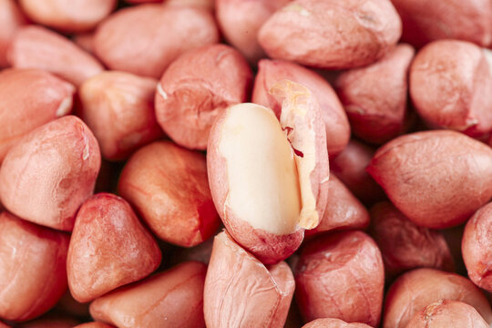 Fresh Peanut Kernels with Red Skin Split Open Showing White Nut Inside Ready for Processing