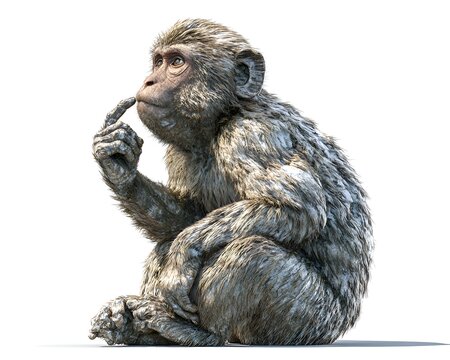 A thoughtful monkey sits with its finger on its chin, appearing to be in deep contemplation