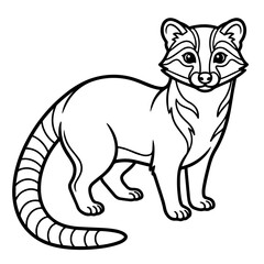 Fototapeta premium Black and white line of a small civet cat standing, isolated on a white background, for coloring book, page for kids, and adults
