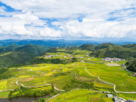 Panoramic terraced rice fields winding through green mountain countryside
