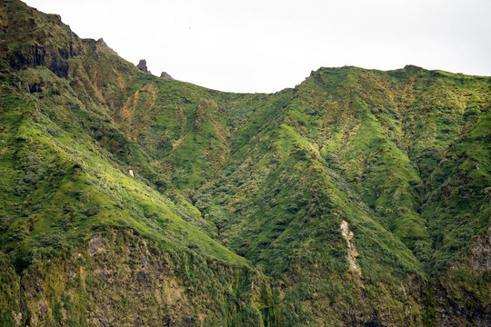 Rugged, mountainous terrain covered in tussock grass on Gough Island in the South Atlantic Ocean