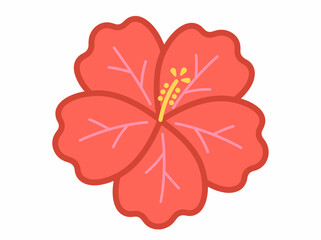 Fototapeta premium Red hibiscus flower drawing isolated on white