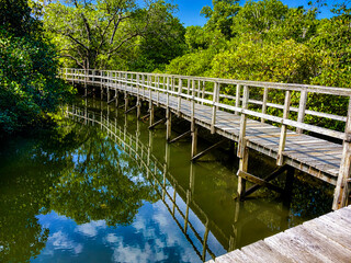 Fototapeta premium Long wooden boardwalk stretching over serene green water, reflecting the vibrant sky and lush foliage of a pristine natural park, inviting peaceful exploration of the tranquil ecosystem - Bali
