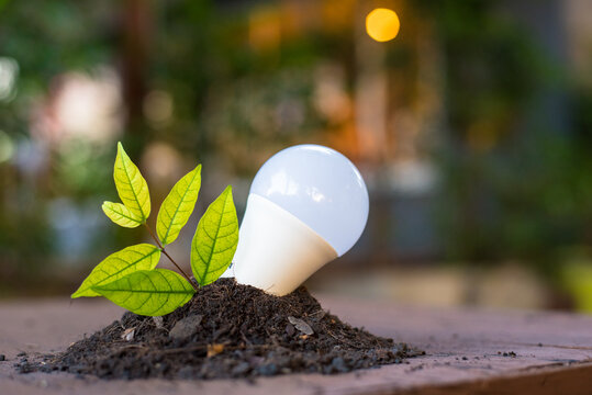 Energy saving LED BULB ECO With the environment,save money while saving the environment 