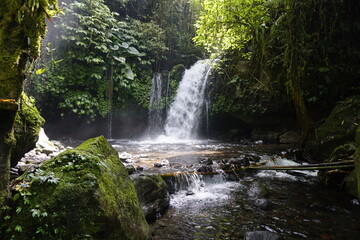 Fototapeta premium Yeh Ho Waterfall, Bali