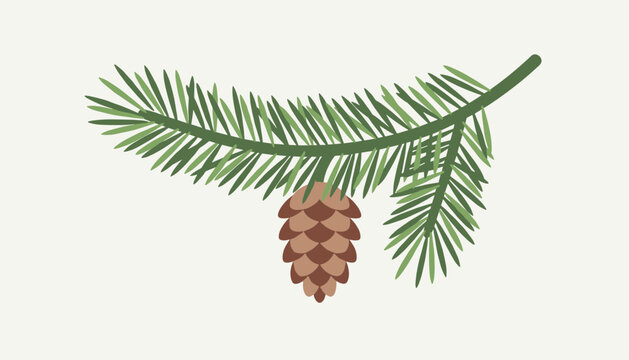 Single branch of a pine tree with a brown cone is illustrated on a plain background representing winter nature and holiday decor.