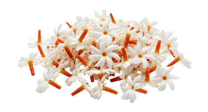 beautiful arrangement of fresh Shiuli Flowers