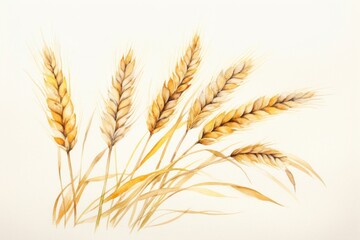 Naklejka premium Wheat plant food agriculture.