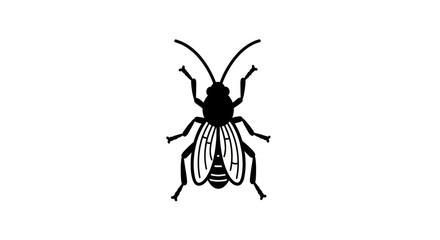 Black and white insect illustration. © Slowme