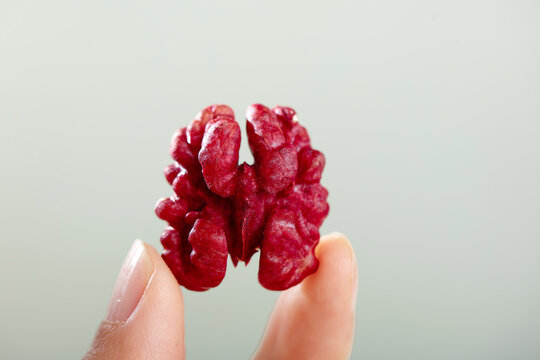 Red Xinjiang Walnut Kernel Close-up - Fresh Nut Meat Texture Detail