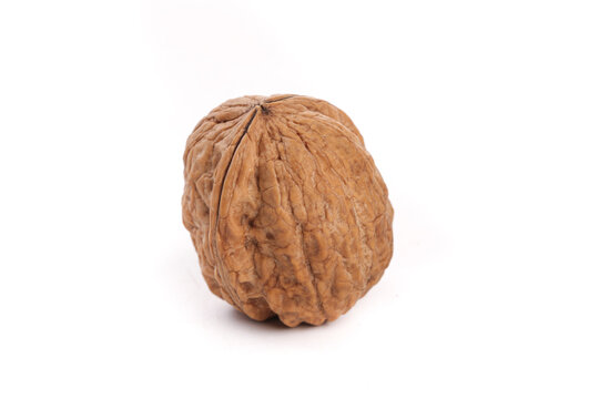 Whole Walnut in Shell Isolated on White Background - Healthy Nut Food Photography