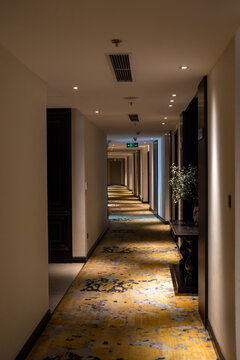 Elegant corridor with warm lighting and patterned carpet, creating a serene ambiance.