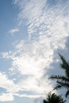 A serene sky filled with scattered clouds and a hint of sunlight peeking through.