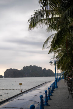 Tranquil seaside path lined with palm trees and blue railings under an overcast sky.