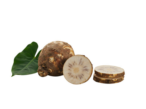 Freshly cut and whole taro root vegetable with green leaf isolated on transparent background transparent background