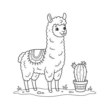 Hand-drawn alpaca standing beside small potted cactus in minimalist line art illustration