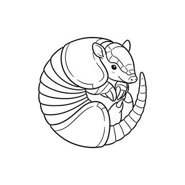 Line art armadillo curled defensively in perfect protective ball pose vector illustration