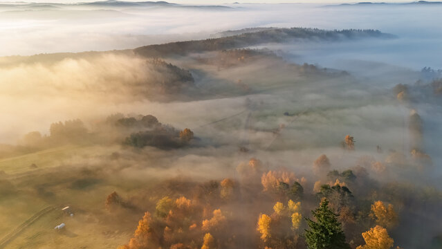 Aerial drone view of beautiful autumn forest and hills covered in morning fog at sunrise, top down foggy landscape with colorful fall trees, nature background of colorful autumn forest and mountains 