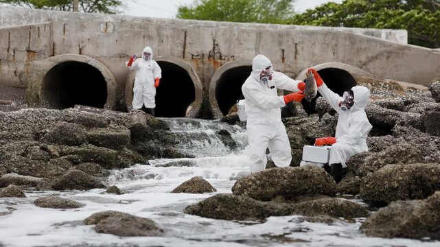 Scientists in hazmat suits collect water samples near coastal sewage outfalls, testing pollution and contamination amid rocky shore and foamy runoff.