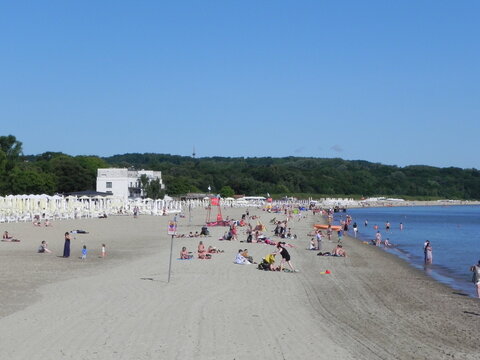 beach in the netherlands
