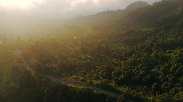 Aerial view of lush forested mountains and a winding road near Telaga Dringo during golden hour in Kecamatan Batur, Jawa Tengah, Indonesia.