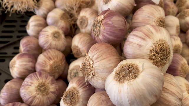 Large fresh garlic bulbs displayed at a local market in Cascais, Portugal, showcasing natural produce, vibrant textures and authentic Portuguese food culture.