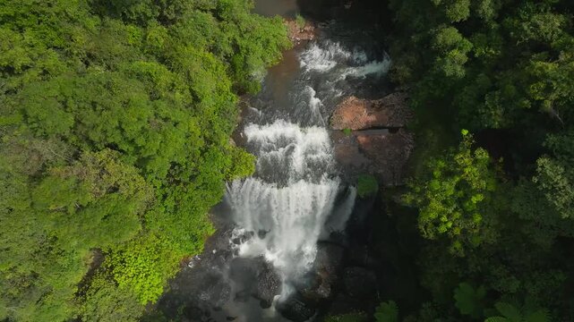 Aerial view of Zillie Falls cascading through lush tropical rainforest in the Atherton Tablelands, Millaa Millaa, Queensland, Australia.