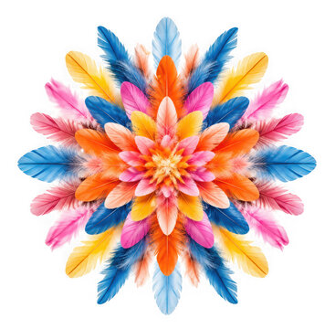 Colorful feather mandala pattern arranged in a symmetrical floral shape isolated on transparent background