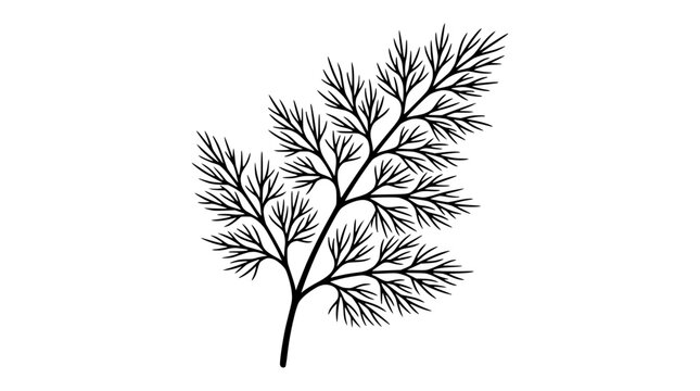 Black and white illustration of a dill sprig isolated on white background