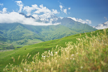 Obraz premium Rolling green hills and alpine meadows in the foreground with soft bokeh on the grass; layered ridges and snow‑capped peaks in the distance.
