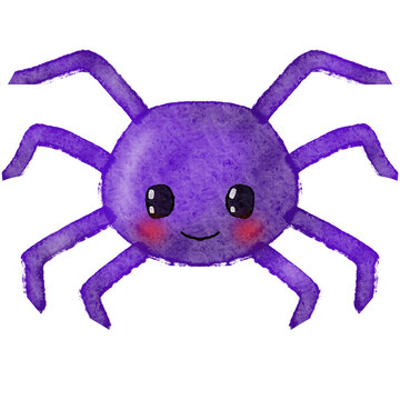 Cute Halloween Spider Hand Drawn Illustration
