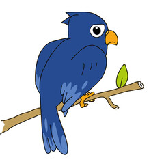 blue bird with a branch