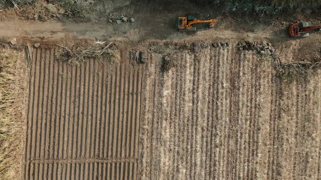 Drone footage showing an aerial view of agricultural fields, including harvested sugarcane and pomelo orange orchards, with heavy machinery parked near a rural road.