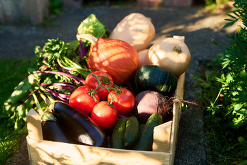 Fresh organic vegetables sitting in wooden crate outdoors, representing local harvest and healthy eating. Image suitable for grocery marketing and farm to table food campaigns © pressmaster