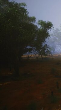 A tranquil scene unfolds as a soft mist blankets the ground, gently hugging the trees. Nature awakens in quiet splendor, inviting exploration in the break of dawn.