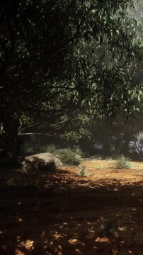 Sunlight dances through the thick canopy, casting soft shadows on the earthy ground. A tranquil atmosphere fills the air, hinting at mysteries hidden in the forest depths.