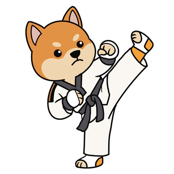 Cute cartoon Shiba Inu in taekwondo dobok with black belt kicking high.