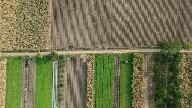 Drone footage showing an aerial view of agricultural fields, including harvested sugarcane and pomelo orange orchards, with heavy machinery parked near a rural road.