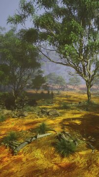 In a tranquil setting, golden earth contrasts beautifully with lush green trees under a misty sky. Natures colors blend to create a peaceful and enchanting atmosphere.