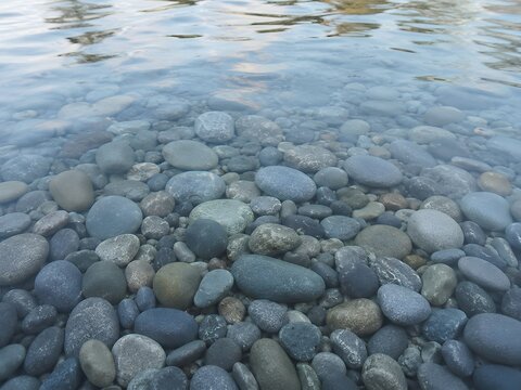 Smooth river stones in shallow, clear water