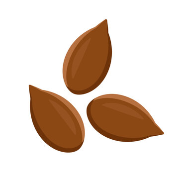 Flax Seeds Flat Vector Illustration Clipart for Healthy Food