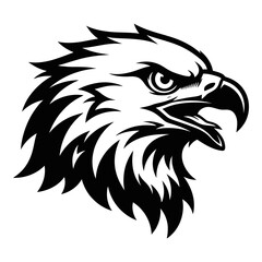 Fototapeta premium Bald eagle head illustration in black and white with open beak and sharp feathers