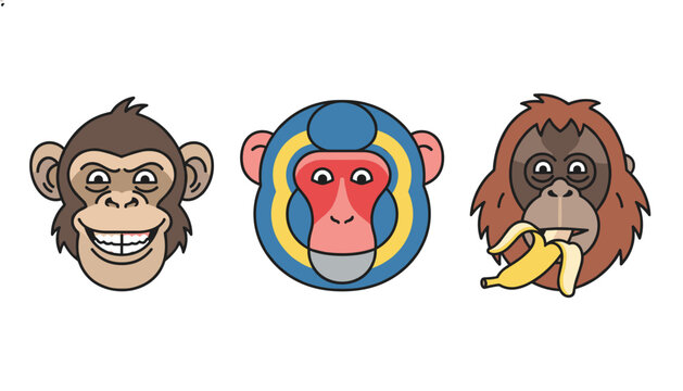 Three different monkey faces including a smiling chimpanzee, a colorful mandrill, and an orangutan eating banana.