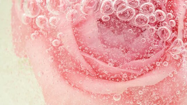 Serum gel texture on pink rose flower and bubbles, transparent cream background