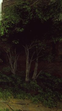 Tall trees stand amongst lush greenery, casting gentle shadows in a serene forest. Sunlight filters through the leaves, creating a calming atmosphere perfect for reflection.