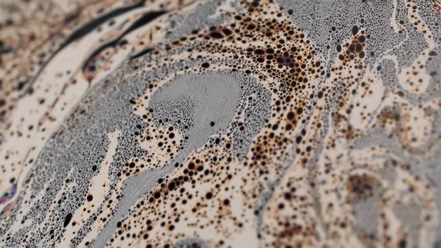 Abstract Monochrome Macro Fluid Dynamics with Dense Micro Bubble Cell Structures