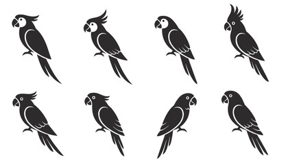 Fototapeta premium Set of eight black parrot and cockatoo bird silhouettes in various poses isolated on white background.